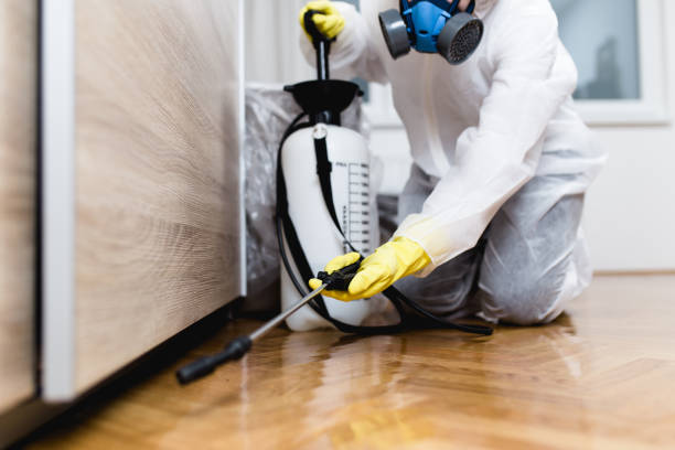 Trusted Lawrence, IN Pest Control Experts