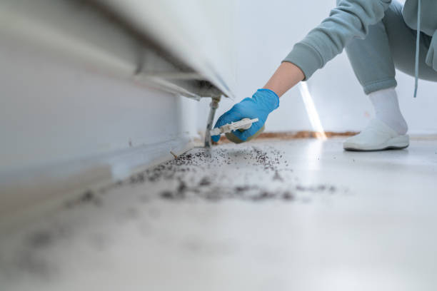 Best Local Pest Control Services  in Lawrence, IN